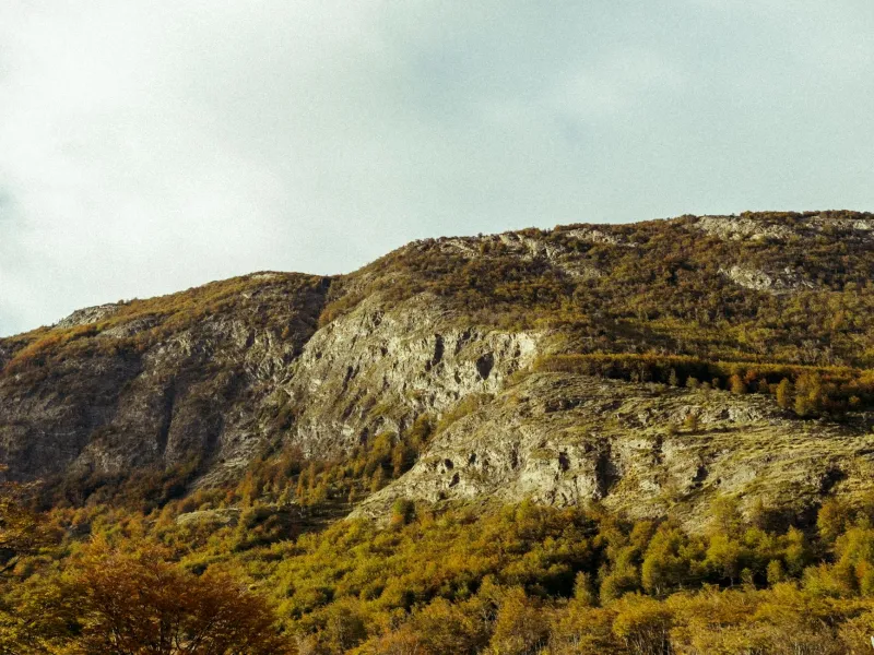 Canvas and Conservation: The Unknown Artist Who Painted America Into Protecting Itself