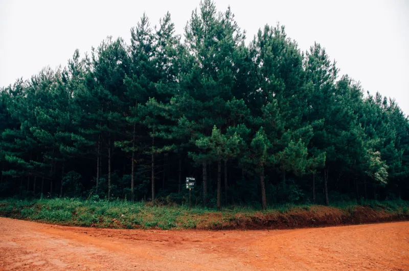 The Best Thing That Ever Happened to Them Was Failing Completely at Something Else