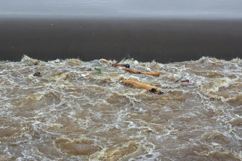 She Sent the Letter No One Was Supposed to Receive: The Appalachian Teenager Who Accidentally Sparked America's Environmental Movement