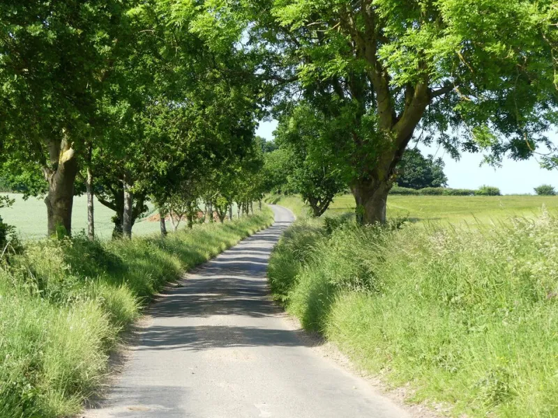 Lost Is a Direction: The Case for the Crooked Career